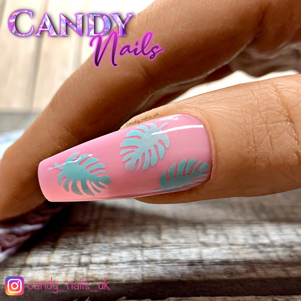 OHANA Big Bundle